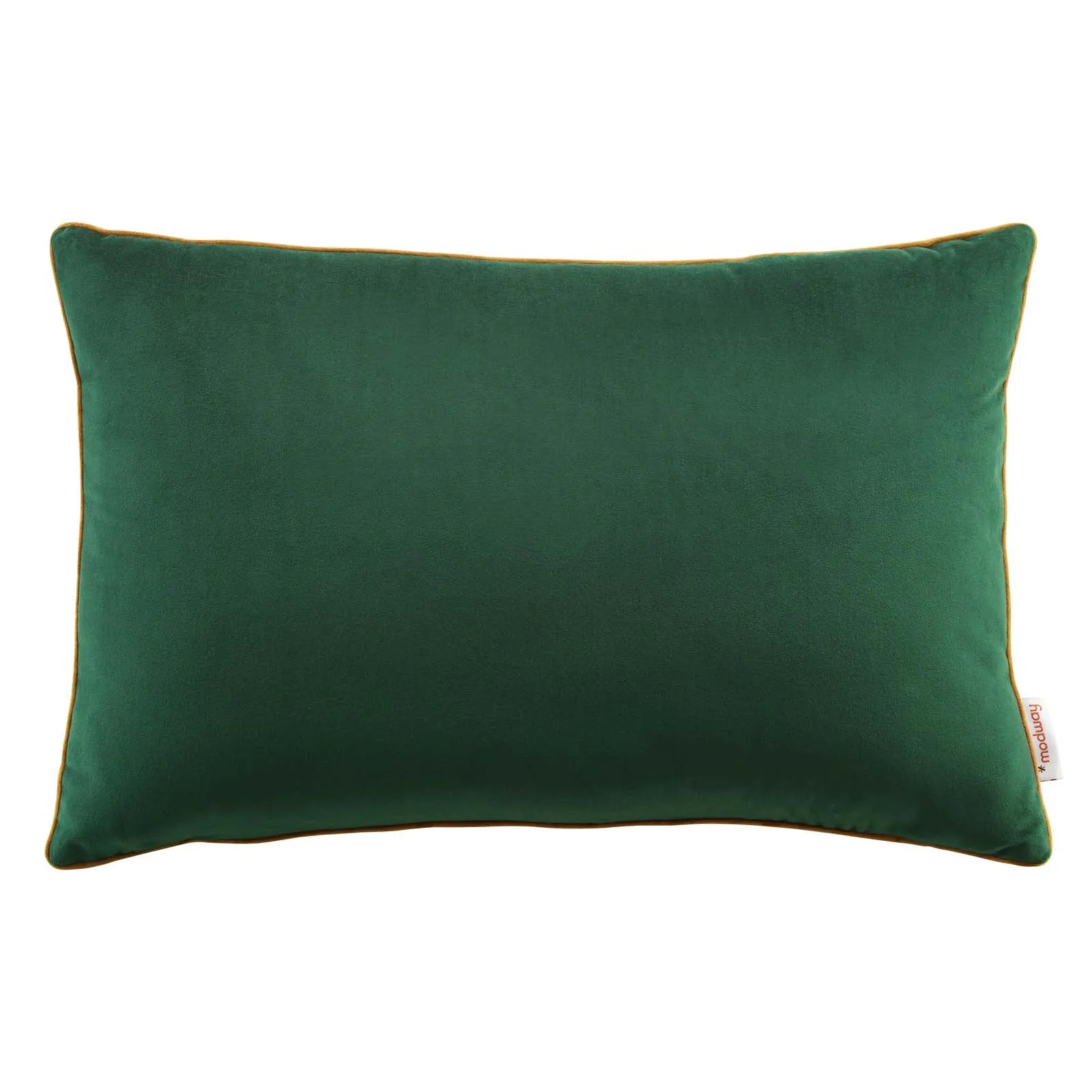 Accentuate 24" Lumbar Performance Velvet Throw Pillow