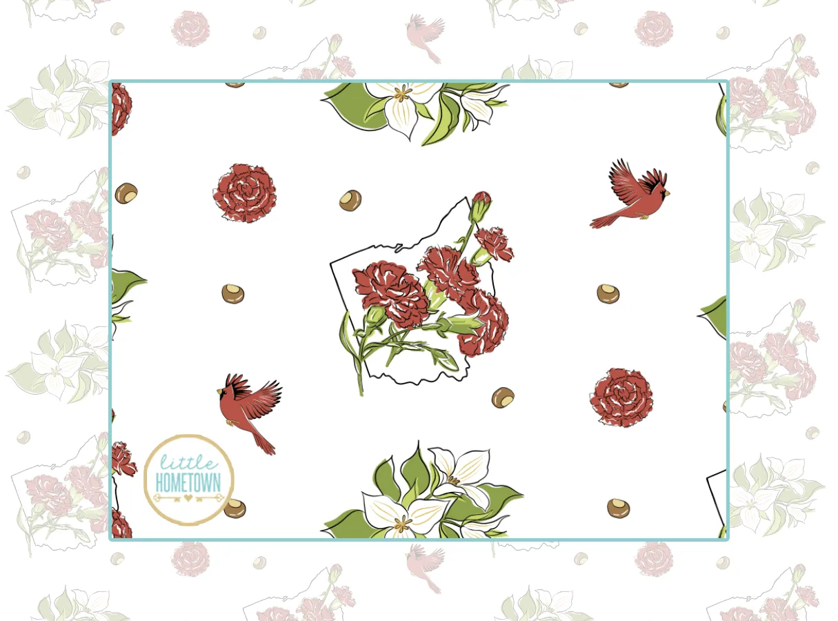 Baby Burp Cloth & Bib Combo Ohio Baby (Floral)